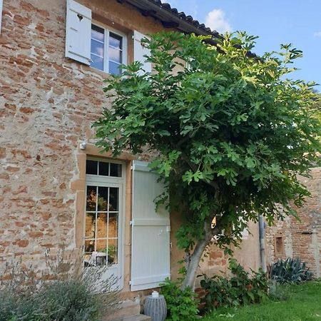 Le Gite Du Carge D'Arlay Charnay-lès-Mâcon Екстериор снимка