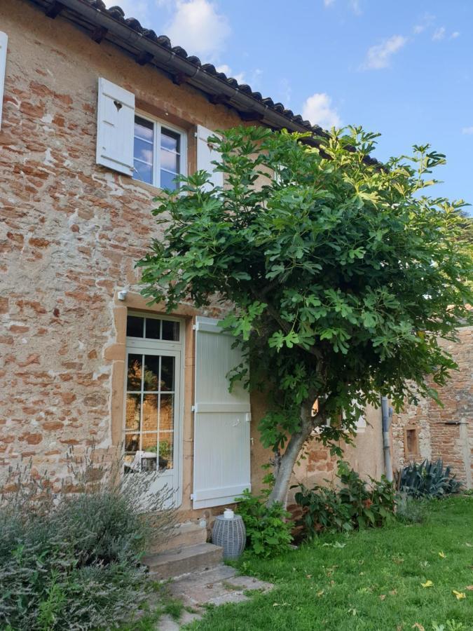 Le Gite Du Carge D'Arlay Charnay-lès-Mâcon Екстериор снимка